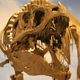 Image for article titled We Will Never Find All The Dinosaurs